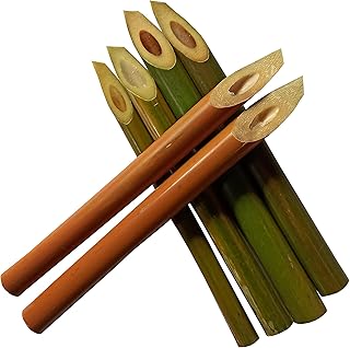 Bamboo pen for Arabic and English calligraphy (pack of 6 pens).. Love deals? DIAYTAR Nigeria has you covered with low prices and fast delivery.
