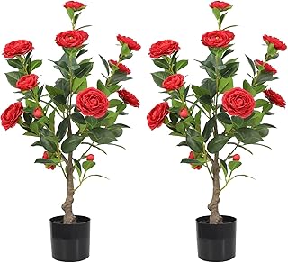 Oazalda Artificial Tree Artificial Camellia Flowers, 【2】】 Flowers of 30 "artificial camellia plants with red flower built in a black jar.. Why shop anywhere else? DIAYTAR Nigeria has it all, at prices you’ll love.