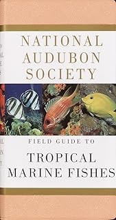 Field guide of the National Audubon Society on tropical marine fish: Caribbean, Gulf of Mexico, Florida, Bahamas, Bermuda.. DIAYTAR NIGERIA: Your one-stop e-commerce destination with affordable prices and nationwide delivery in 5-8 days.