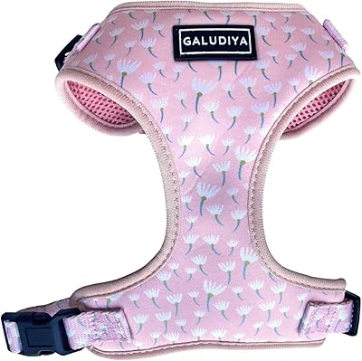 Galudia harnesses for small medium and large soft dogs adjustable light.. DIAYTAR NIGERIA delivers happiness in 5-8 days with our affordable and diverse product range.