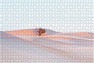 Lonely dead tree in the Al Wathba desert with a beautiful sand dune 1000 pieces wooden puzzle for adults DIY decompression children educational puzzles creative games toys.. Whether you're in Lagos, Abuja, or anywhere in between, DIAYTAR Nigeria ensures your online shopping experience is smooth, affordable, and fast.