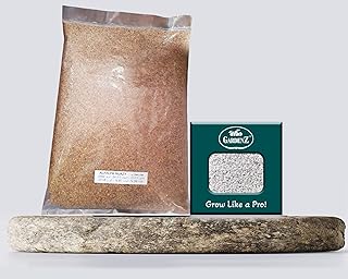 Alfalfa Hizacy 1kg agricultural seeds + agricultural perlite box (10 ltr.) By Gardenz.. DIAYTAR NIGERIA delivers more than expected with our extensive catalog and 5-8 day delivery service.