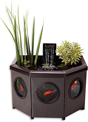 Half-moon swimming pool Blagdon Affinity View, with filter pump 5-in-1 2000 and LED spot, 3 pretty fountain heads, 1 planted basket-Size S.. Shop smart, shop DIAYTAR - Nigeria's most affordable e-commerce platform with nationwide delivery.