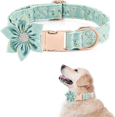 Dog necklace for girls with removable and adjustable metal loop.. DIAYTAR NIGERIA: Where smart shoppers find everything they need at prices they can afford.