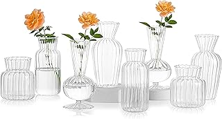 Vases The White Shop for Table Centers - Mini transparent vases in large, pretty flower vases for wedding party, table decoration (transparent, 8).. Transform your online shopping experience with DIAYTAR NIGERIA's affordable and diverse marketplace.