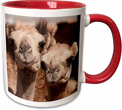 3Drose Danita Delimont - Camel - in Al Ain, Dubai, United Arab Emirates. - cups., 15oz.. DIAYTAR NIGERIA transforms online shopping with competitive prices and dependable nationwide delivery.