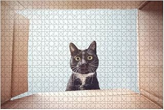 Cat looking curiously inside a cardboard box 1000 pieces wooden puzzle for adults DIY decompression children educational puzzles creative games toys gift decoration.. Your go-to destination for affordable online shopping, DIAYTAR NIGERIA delivers in under 8 days.