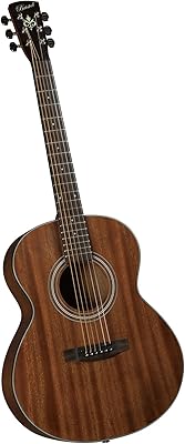 Bristol by Blueridge BF-15 acoustic guitar 6 strings.. Experience DIAYTAR NIGERIA, where extensive product variety meets pocket-friendly prices and reliable delivery.