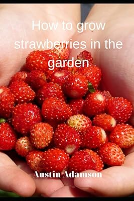 How to grow strawberries in the garden.. Your complete shopping solution, DIAYTAR NIGERIA offers extensive variety with budget-friendly delivery.