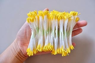 TAI decorated 1200 pieces of yellow stamed flowers, artificial pearl flowers for the manufacture of stamens 6 cm from stamens of double -headed pearl flowers (yellow color).. DIAYTAR NIGERIA: Where shopping is easy, prices are low, and delivery is just days away.