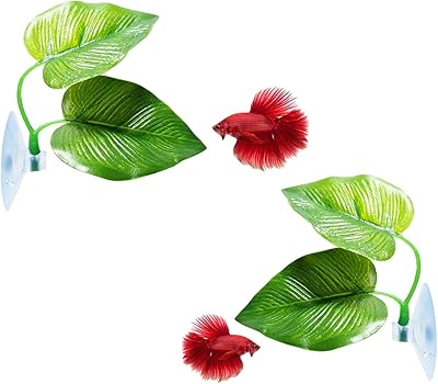 Package of 2 Mikacos Betta fish sheets which improve the health of betta by imitating natural habitat - natural, organic and comfortable rest area for your aquarium.. DIAYTAR NIGERIA brings affordable shopping solutions to every corner of Nigeria in just 5-8 days.