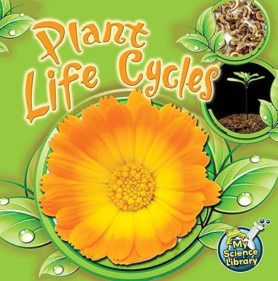 Plant life cycles.. Explore fashion, tech, home goods, and more on DIAYTAR Nigeria — always affordable, always fast.