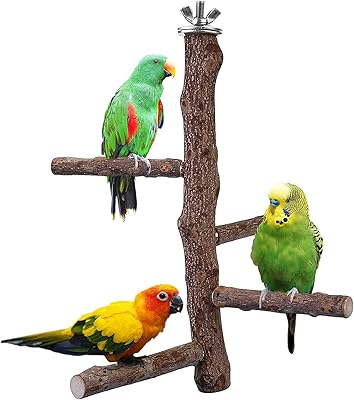 The White Shop Toy On Bird Perches, 8 Pieces, Natural Woods, Bird Cage Accessories for Calopsittes, Conures, Aras, Pinsons and Inseparable.. Experience budget-friendly shopping at DIAYTAR NIGERIA, Nigeria's premier online marketplace with quick delivery.