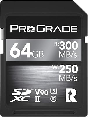 SDXC Progid UHS-II V90 300R (64 GB) memory card (64 GB).. Looking for a deal? DIAYTAR Nigeria has thousands waiting for you.