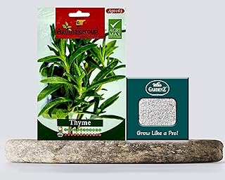 Agrimax Aromatic Thym Seeds + Agricultural Perlite Box (10 Ltr.) By Gardenz.. DIAYTAR NIGERIA: Creating access to affordable products for every Nigerian with our swift delivery service.