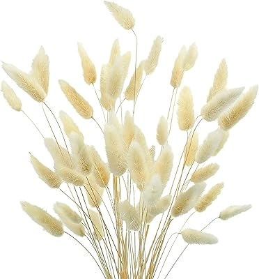 70 pieces of dried flowers Lagurus ovatus, dried pampe grass flowers for farm floral arrangements, home wedding decorations (white).. DIAYTAR NIGERIA: Empowering Nigerians with access to affordable products delivered within 8 days.