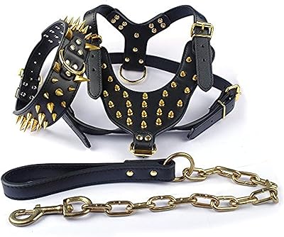 DIDOG CLOPED LEATHER DOG COLLIER with black golden rivets (pointed rivets), harness and leash, together with 3 pieces for pitbull boxer.. DIAYTAR NIGERIA makes every shopping desire a reality with affordable prices and delivery in 5-8 days.