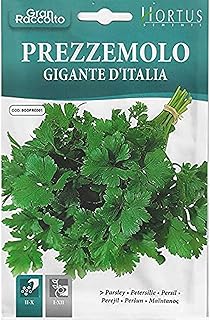 High quality HORTUS PERSIL (GIGANTE PRISIMOLO of Italia) (made in Italy).. Discover the perfect balance of selection and value with DIAYTAR NIGERIA's nationwide e-commerce platform.