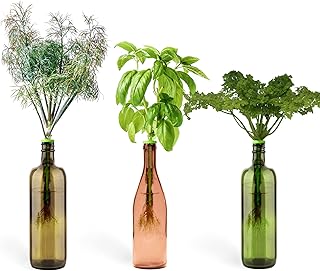 Interior aromatic herbs garden kit - Cultivate fresh herbs inside with this unique garden kit - gardening kit with bottle cap - Cultivate living herbs at home from seeds.. DIAYTAR NIGERIA makes every purchase count with our affordable prices and reliable 5-8 day shipping.