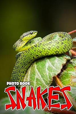 Snake photo book: A collection of amazing images for all ages to have fun and relax | Gift idea for children, boys, girls.. DIAYTAR NIGERIA: Where affordability meets variety, with thousands of products delivered in less than 8 days.