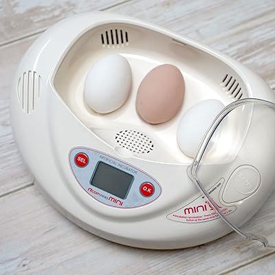 RCOM mini pro incubator with automatic temperature control, PX-03, manufactured in Korea, local distributor to the United Arab Emirates.. DIAYTAR NIGERIA makes online shopping accessible to all with budget-friendly prices and reliable delivery.