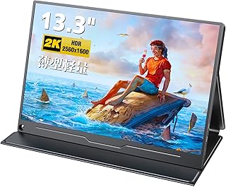 Portable monitor Evisafe 133 2K 2560 x 1600 end and light with panel.. DIAYTAR Nigeria combines variety, affordability, and speed — making your online shopping experience not only enjoyable but also cost-effective.