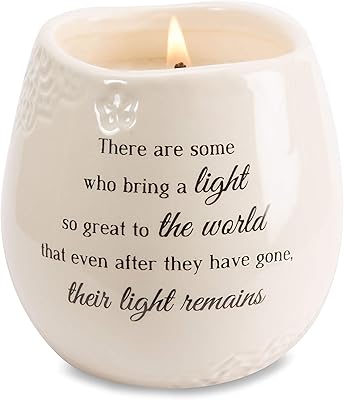 Pavilion Gift Companybougie in soy wax in ceramic 19176 with light memory, white 8 oz.. Get top brands at bottom prices, only on DIAYTAR Nigeria.