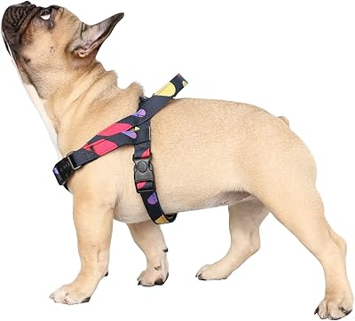 Light and adjustable dog harness Eco easy on/off with small and medium -sized dog handle - Wave point color size S.. From fashion trends to home essentials — find it on DIAYTAR Nigeria.