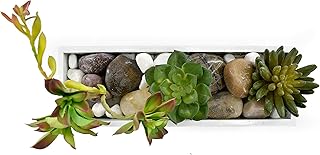 Artificial ceramic aspiration plant with stones, office plants, small plants, indoor plants and outdoor plants - artificial plants.. Shop like never before with DIAYTAR NIGERIA's comprehensive marketplace and budget-friendly shipping.