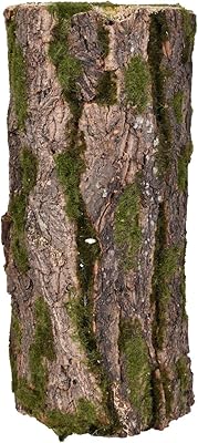 The trunk of the Ronce 'Moses', a useful cover for decoration of garden, courtyard and landscape to cover the visible areas of Yatai, small.. Shop from our extensive catalog at DIAYTAR NIGERIA and enjoy doorstep delivery in just 5-8 days.