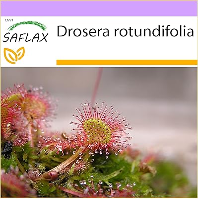 Droser with round leaves 50 seeds drosera rotundifolia.. DIAYTAR NIGERIA promises affordability and variety with every purchase, delivered in 5-8 days.