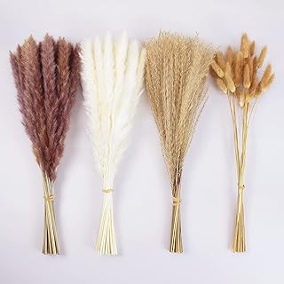100 Pieces of dry grass decor, brown and white papaya grass, reed grass, rabbit tail grass, Boho house decor, dried flowers for wedding, bathroom wall decoration.. Discover endless possibilities with DIAYTAR NIGERIA's comprehensive selection and reliable shipping.