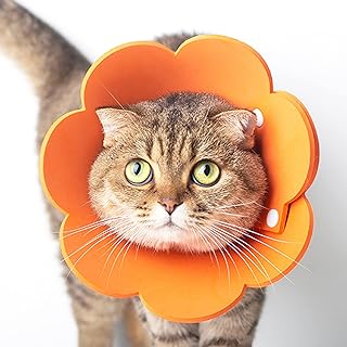 Adjustable cat collar, flexible post-surgery cat cone, healing of kitten puppies, Elisabethain protective collar for cats and small dogs (m).. DIAYTAR NIGERIA brings the market to your screen with thousands of affordable products delivered to your door.