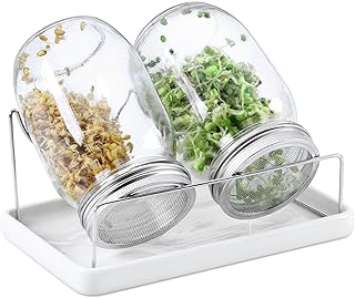 The White Shop germination kit - 2 large germination jars opening with drainer and ceramic support and stainless steel 316.. Browse, shop, and receive — DIAYTAR Nigeria keeps it simple.