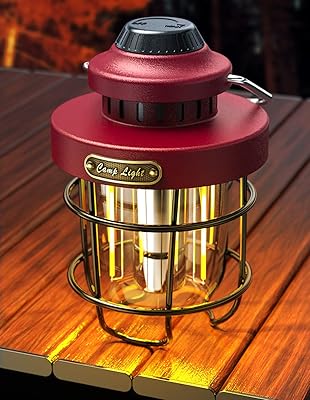 Retro metal exterior refillable camping lantern with variable intensity double source of warm white light waterproof nightfish... Home to endless choices and pocket-friendly prices — DIAYTAR Nigeria.