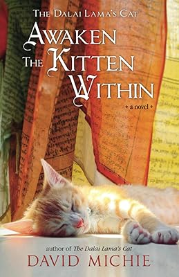 The Dalai Lama cat awakens the kitten that is in him.. Your complete shopping solution, DIAYTAR NIGERIA offers extensive choice with competitive prices and delivery.