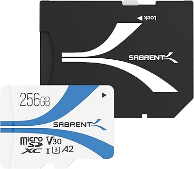Seprint Rocket Rocket R100 Mo S W30 256 GB Microsdxc V30.. DIAYTAR NIGERIA: Where shopping is a pleasure with affordable prices and reliable delivery service.