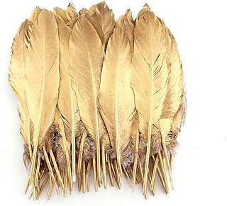 Clothing accessories in SODER natural goose feathers (pack of 50 pieces.. Shop for everything you need at DIAYTAR NIGERIA, with budget-friendly prices and quick delivery.