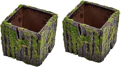 Yatai Lot of 2 creative flower planters, plant cultivation box, flowerpot, flower pot, flower vase for the decoration of the house (small).. With DIAYTAR Nigeria, you can browse through thousands of items at the best prices. Place your order today and receive it in less than a week.