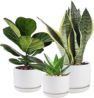Ceramic flower pots W Home PA with drainage holes and saucers, 4.3 " + 5.3" + 6.7 ", set of 3, garden flower pots for interior plants.. Shop electronics, clothes, and everything in between on DIAYTAR Nigeria.
