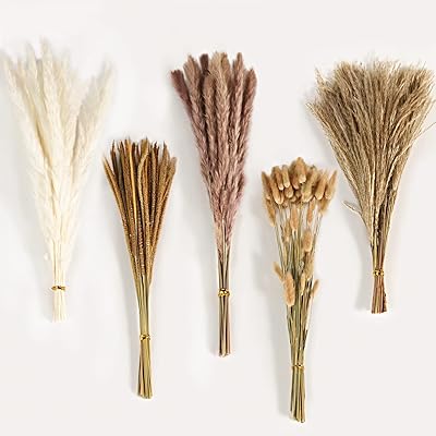 LEDN 100 pieces of pampa grass boho pompas grass naturally dried decoration for wedding.. Great finds. Great prices. Fast shipping. That’s DIAYTAR Nigeria.