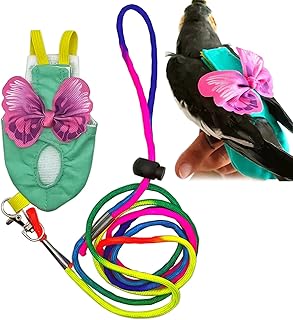 Bird layers harness and leave for parrots clothing for washable recovery birds.. Shop like never before with DIAYTAR NIGERIA's comprehensive marketplace and budget-friendly shipping.