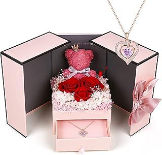 Preserved rose-shaped gift box including a Sterling 925 silver double heart necklace, a birthday, Valentine's Day, a birthday, a Christmas gift for women, wife, girlfriend, husband, boyfriend.. Home to endless choices and pocket-friendly prices — DIAYTAR Nigeria.