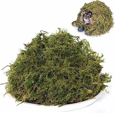 Double natural foam bedding of forest foam for Syrian hamsters, gerbilles, mouse, tasting or other small animals (about 180 g).. One platform, all your needs — DIAYTAR Nigeria delivers quickly.
