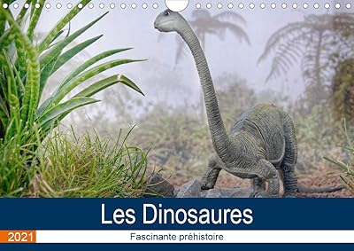 The dinosaurs - fascinating prehistory (wall calendar 2021 Din A4 horizontal): a calendar reserved for dinausores ... but not only for the children's room. (Monthly calendar, 14 pages).. Discover thousands of products on DIAYTAR Nigeria with delivery between 5 to 8 days across the country.
