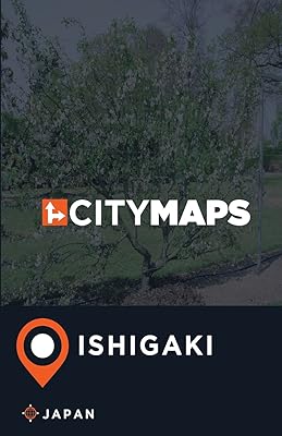 City of the city of Ishigaki Japan.. DIAYTAR NIGERIA brings the market to your screen with thousands of affordable products delivered to your door.