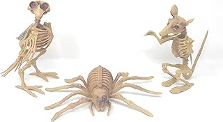 3 -room Halloween decoration set, including 1 skeleton bird, 1 skeleton spider and 1 skeleton mouse.. Nigeria's favorite online shopping platform, DIAYTAR offers unbeatable prices and delivery within a week.