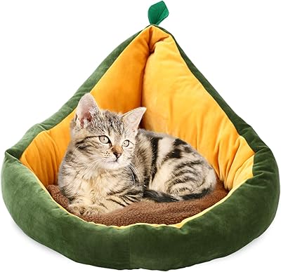Mignon avocado dog and cat bed | comfortable interior.. Your trusted marketplace, DIAYTAR NIGERIA offers extensive variety with delivery within 8 days.