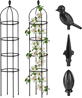Garden trellis for outdoor climbing plants, 6 feet, round rose for pots of stainless steel plants, trellis of flowers for clematis, vine support, interior and exterior.. DIAYTAR NIGERIA: Your one-stop e-commerce destination with affordable prices and nationwide delivery in 5-8 days.