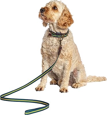 Fatface woven dog leash Bold Stipe of Danish Design Blue/2.5 cm.. DIAYTAR NIGERIA makes quality accessible to all with our affordable prices and quick delivery service.